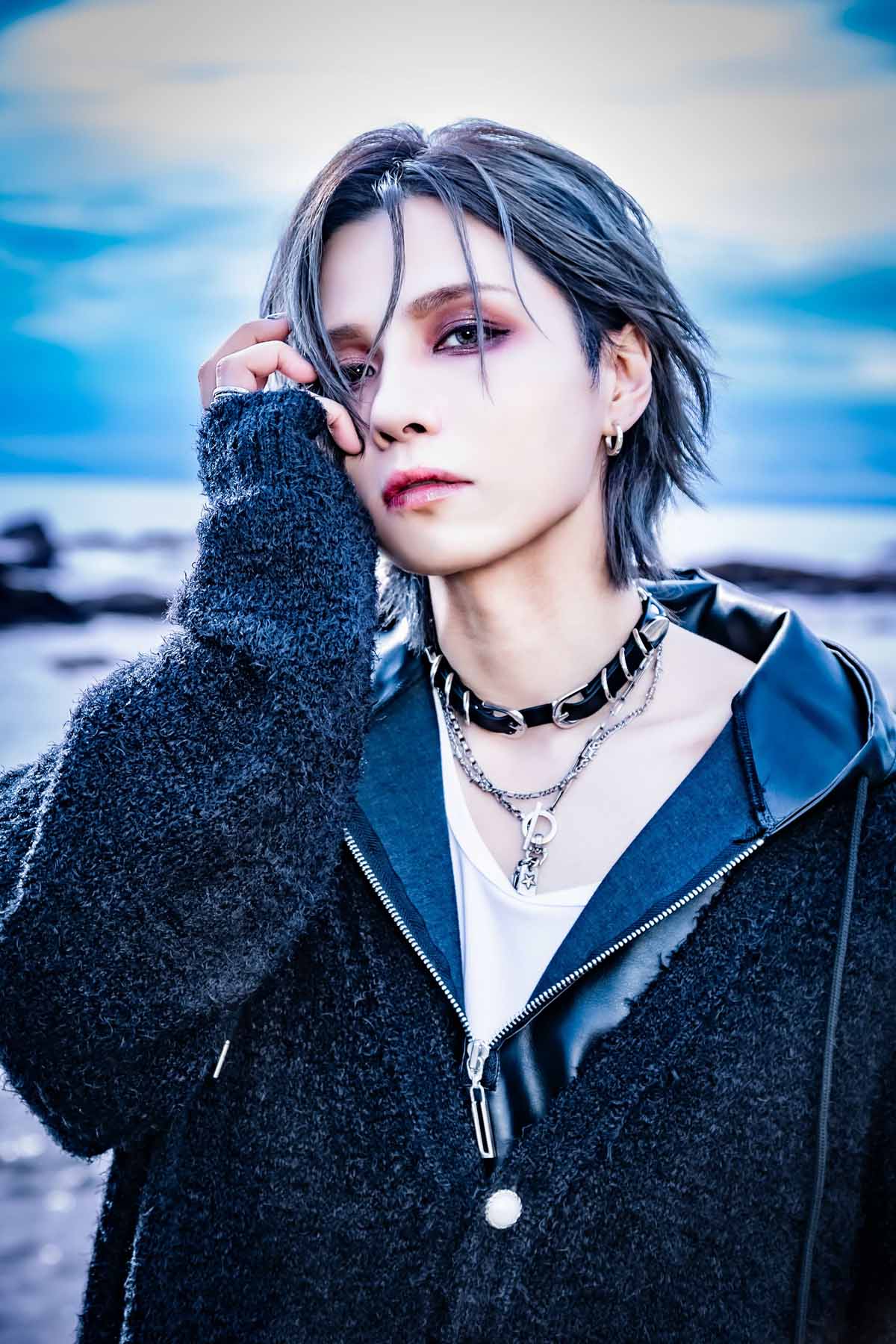 vistlip THESEUS CD、購入特典クリアファイル mqdefault.jpg